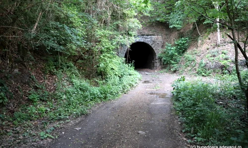 mocanita f=tunel foto daniel guta adevarul