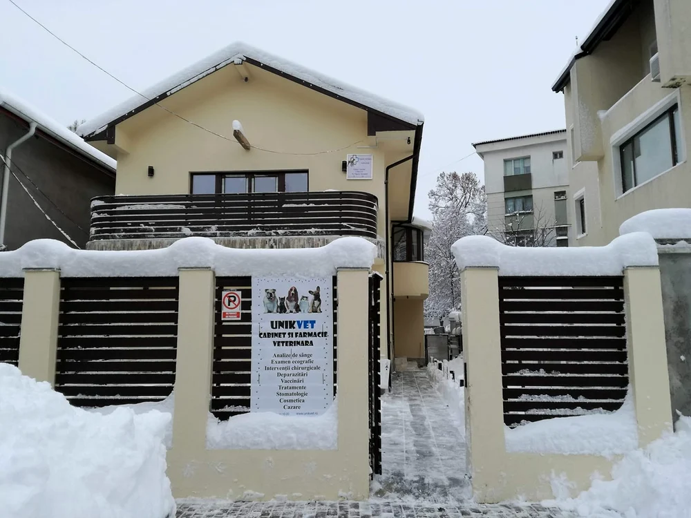 Vila pe care a cumpărat-o medicul FOTO : FB/Arhivă Personală