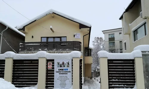 510963037 30067860826193626 6393600560134532527 n jpg