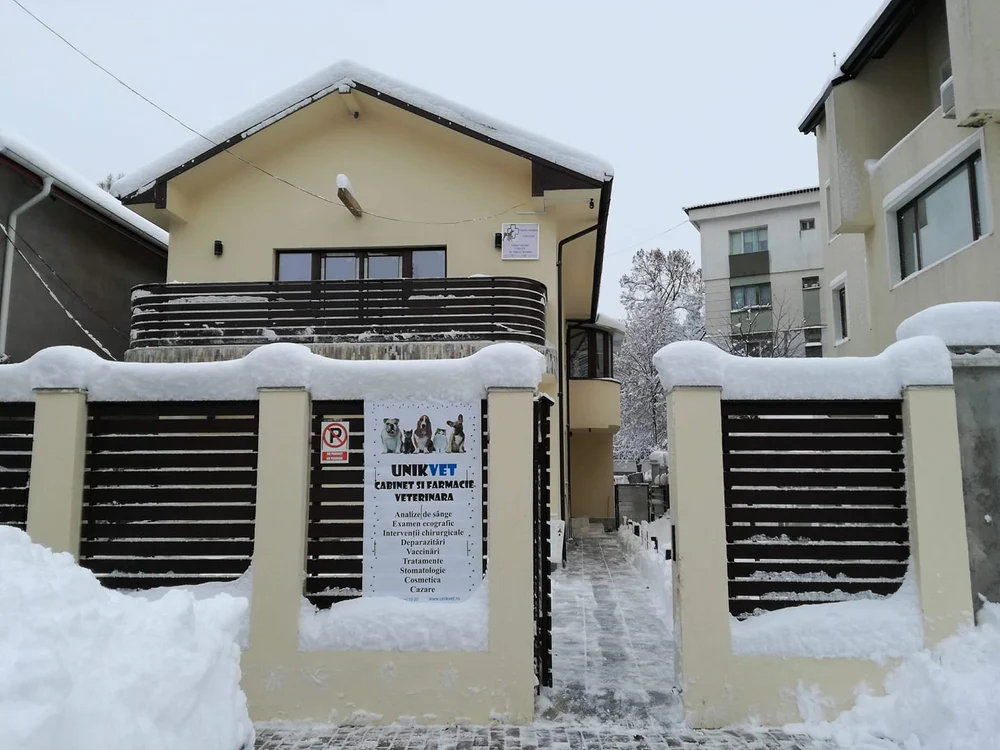 O femeie din Iași a fost amenințată cu moartea după ce a cumpărat o vilă: „I-a spus că o va omorî pe ea și câinii din curte”