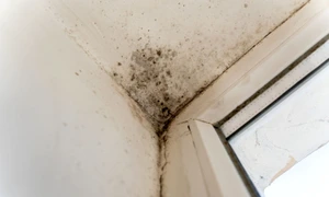 e1a33915e8c7ab31c71586844e3bb862bd jpg