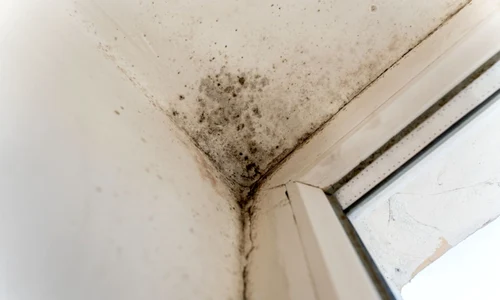 e1a33915e8c7ab31c71586844e3bb862bd jpg