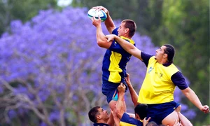 CLIIMA20090922 0057 1 jpeg