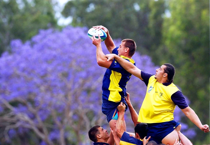 
    Rugbyştii români sunt încă la mare căutare în Franţa  