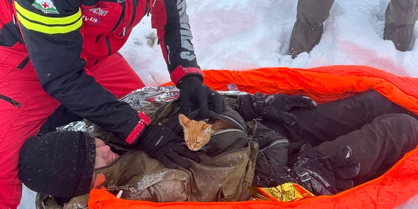Final fericit pentru un fugar ucrainean și motanul lui Foto Salvamont Maramureș   Zooland ro jpg