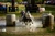 12 karpathia horse show 2019 6 jpg jpeg