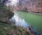 Lacul Cinciș, malul acoperit de pădure Foto Daniel Guță ADEVĂRUL (45) jpg