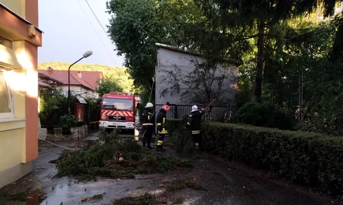 inundatii bistrita jpeg