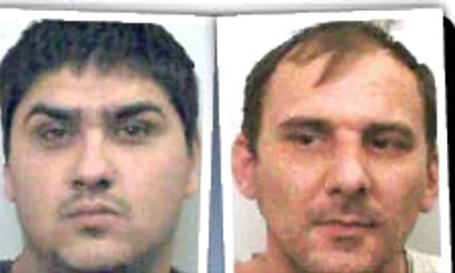 Pedeapsă record! 8 români au fost arestaţi în Marea Britanie pentru că au furat 6 km de cabluri jpeg