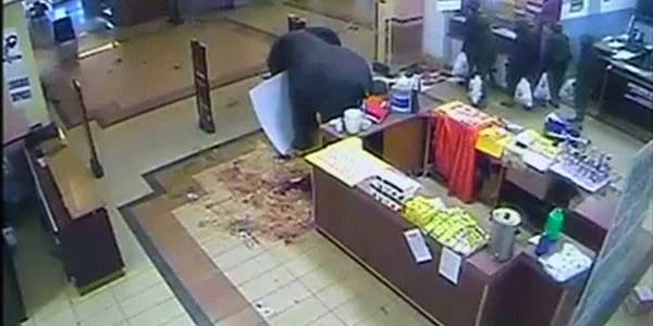 O captura obtinuta de la camerele de supraveghere obtinuta de Reuters pe 19 octombrie arata soldati care parasesc magazinul Nakumatt cu sacose de cumparaturi (dreapta sus) supermarket din mallul Westgate de la Nairobi foto reuters