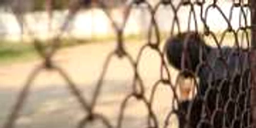 Suspectul riscă 20 de ani de închisoare