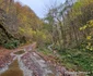 Muntii Orastiei Foto Daniel Guță  ADEVĂRUL (1) jpg
