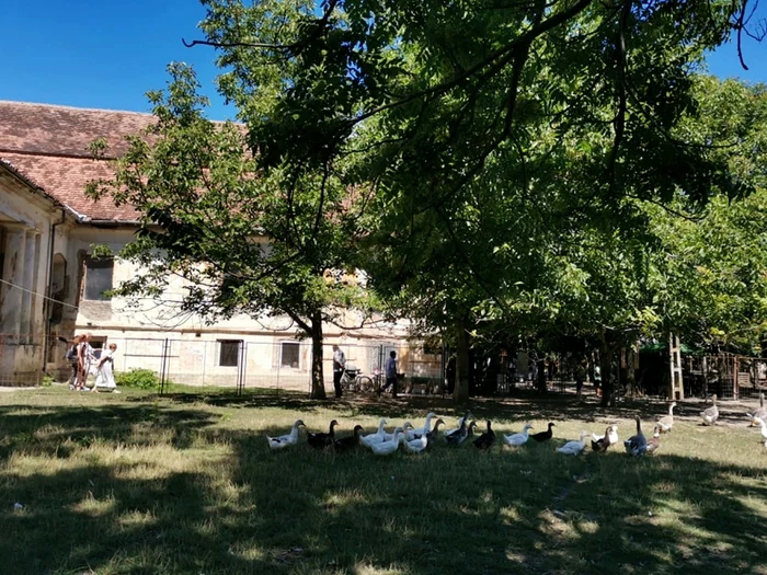 Castelul Nikolici promovat prin artă culinară FOTO Ş.Both