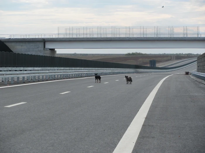 Autostrada Timişoara - Lugoj