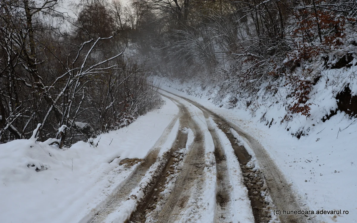 Drumul spre Urșici. Foto: Daniel Guță