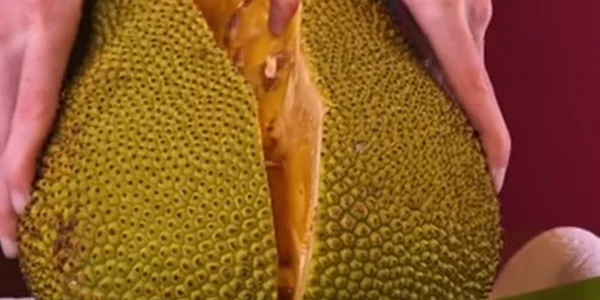Jackfruit jpg