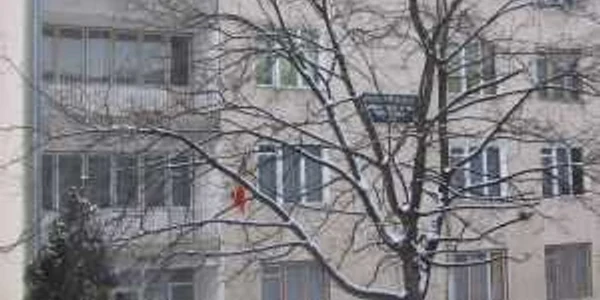 Banii strânşi din donaţii vor ajunge la elevii cu probleme financiare de la Seminarul Teologic din Zalău