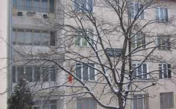 Banii strânşi din donaţii vor ajunge la elevii cu probleme financiare de la Seminarul Teologic din Zalău