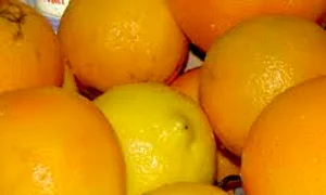 gustdivin blospot com images jpeg