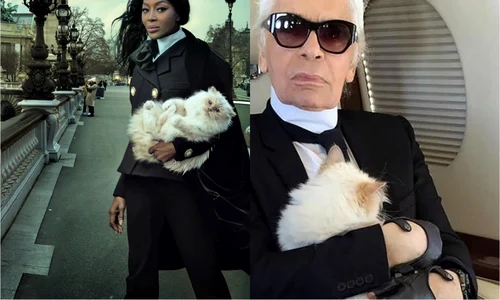 pisica lui Karl Lagerfeld, Vogue  foto   Instagram jpg