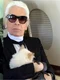 pisica lui Karl Lagerfeld, Vogue  foto   Instagram jpg