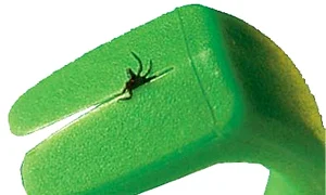 CLIIMA20120626 0061 1 jpeg