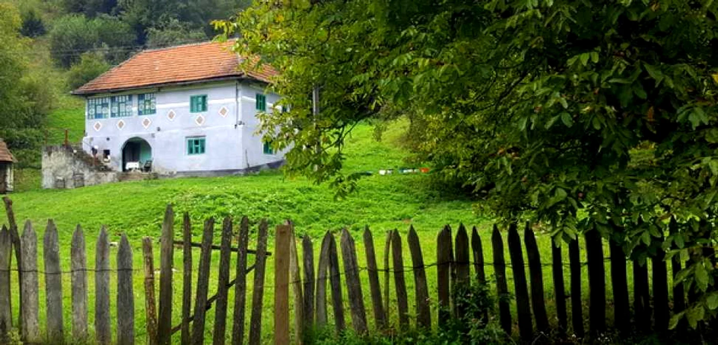 O casă din Cernişoara Florese, văzută din drum. FOTO: Daniel Guţă. ADEVĂRUL.