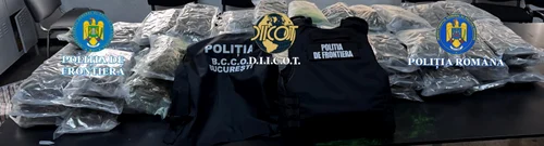 canabis vama 01 foto Poliţia Română jpg