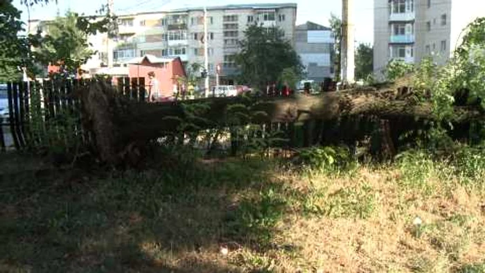 Furia naturii a făcut ravagii în Microraionul IV din Târgovişte