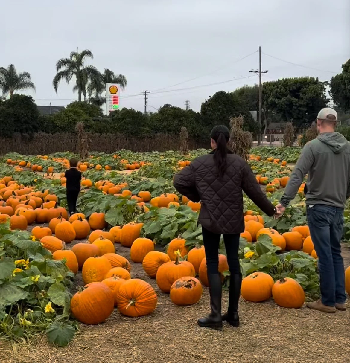 Prințul Harry și Meghan Markle și-au dus copiii la o fermă de dovleci: momente surprinse de ducesă