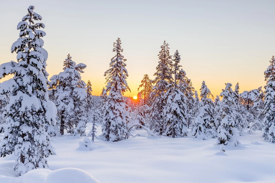 Când începe solstițiu de iarnă - Foto: Pixabay 