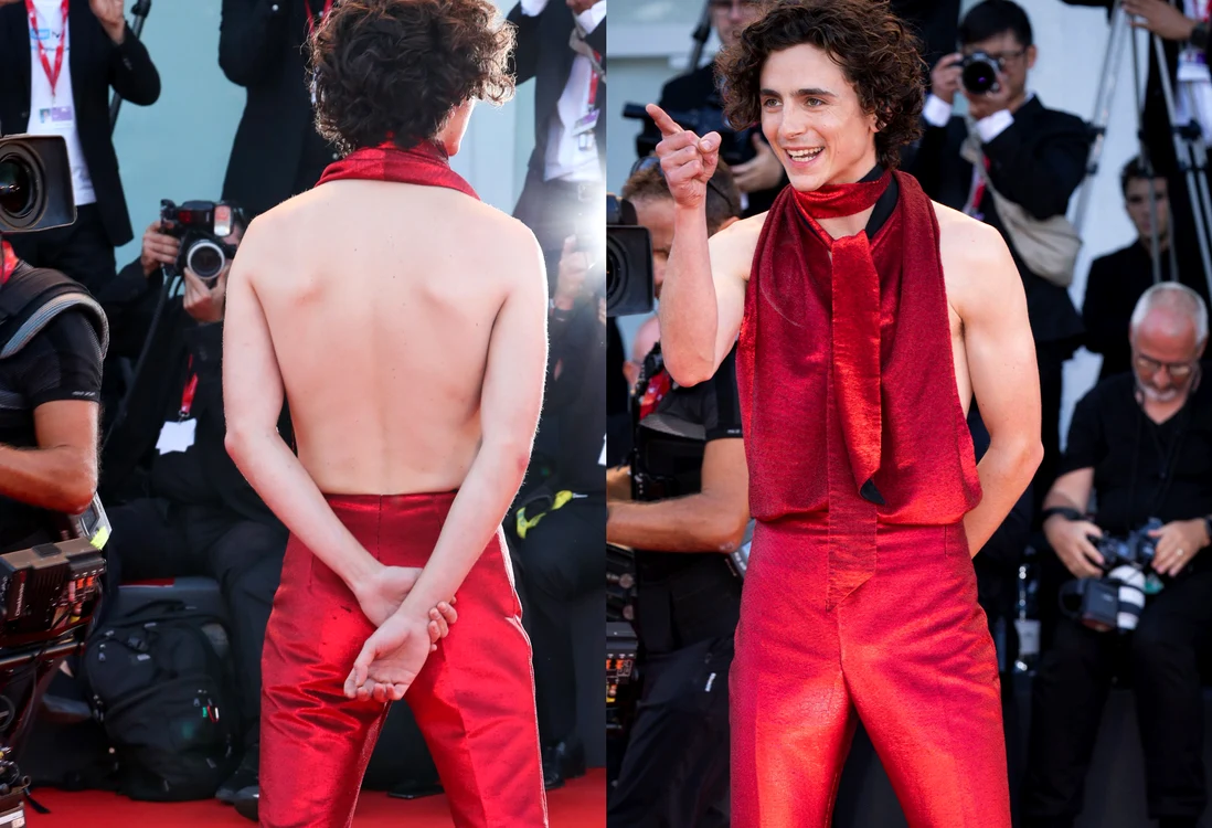 Timothée Chalamet colaj 1 jpg