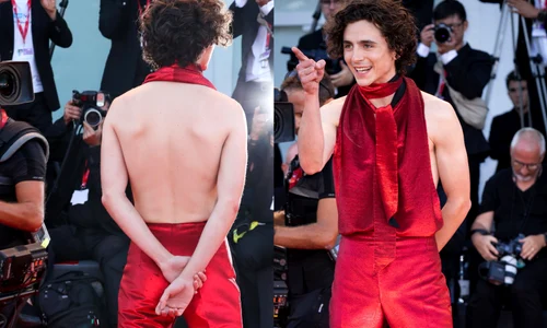 Timothée Chalamet colaj 1 jpg