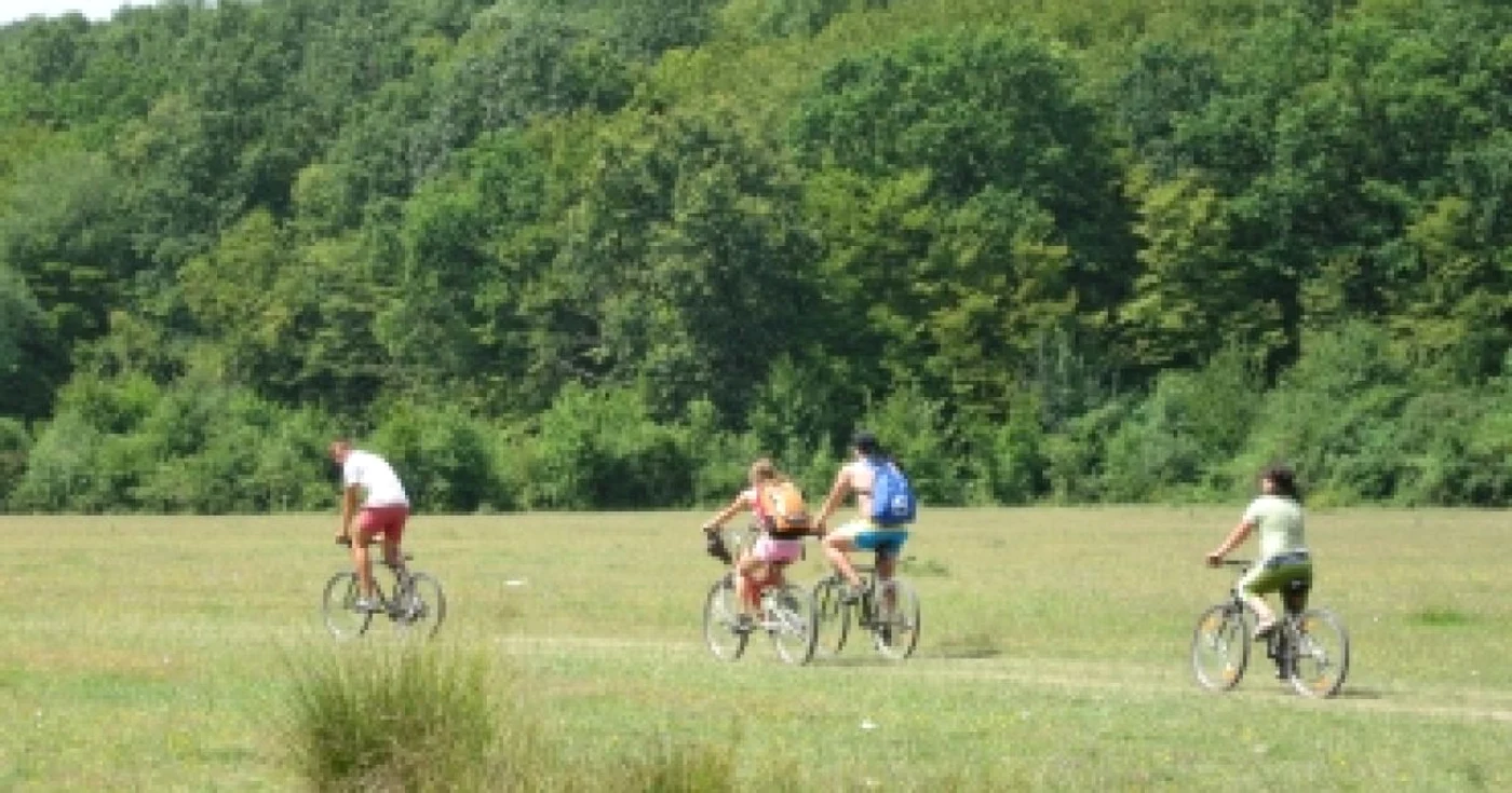 Oradea: Excursie pe biciclete în împrejurimile Oradei