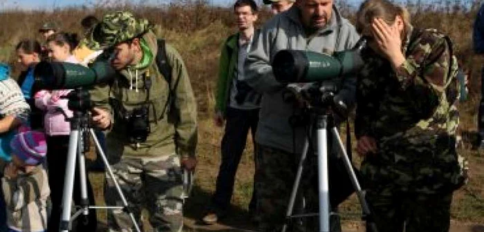 Braşov: Birdwatching la Dumbrăviţa (GALERIE FOTO)