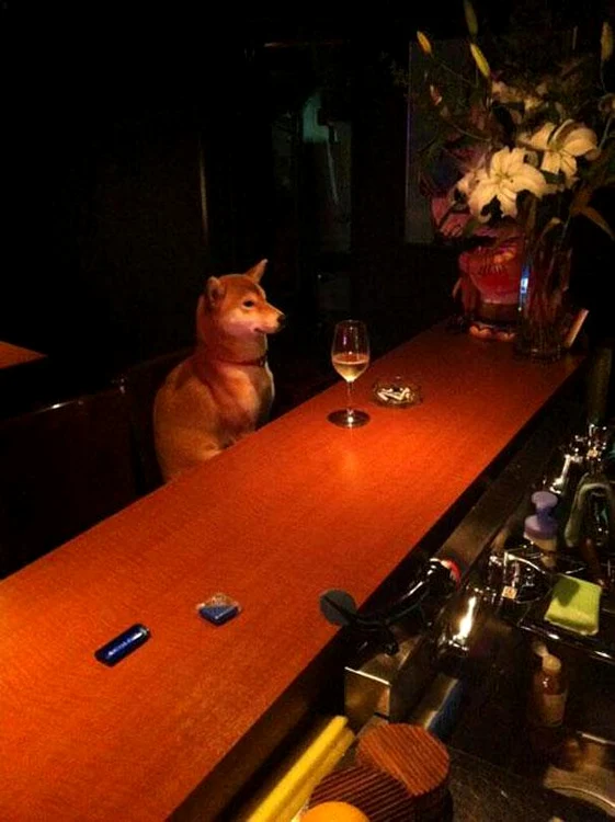 Câinele la un pahar şi o ţigară îşi aşteaptă cuminte partenerul de conversaţie.