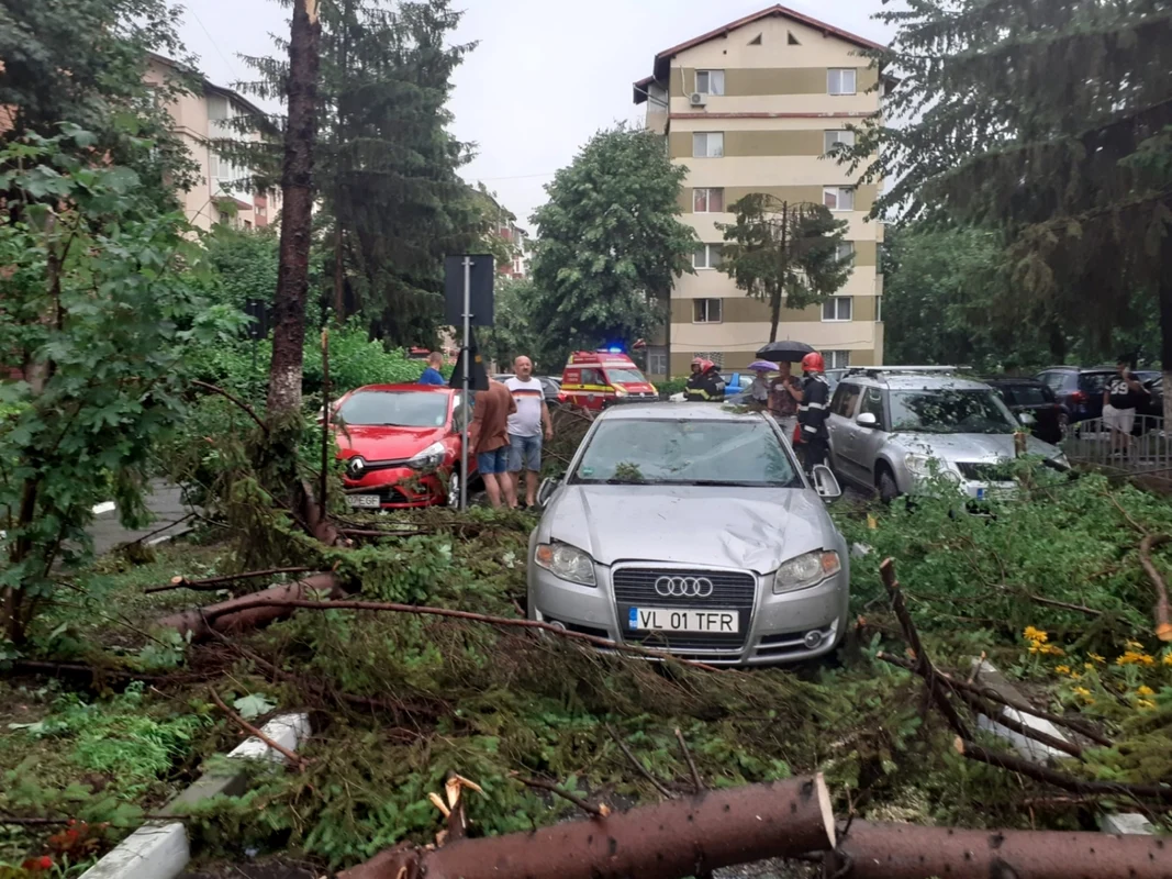 Maşini avariate de copaci şi crengi rupte de o vijelie în Râmnicu Vâlcea Foto ISU Vâlcea