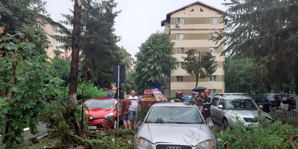 Maşini avariate de copaci şi crengi rupte de o vijelie în Râmnicu Vâlcea Foto ISU Vâlcea