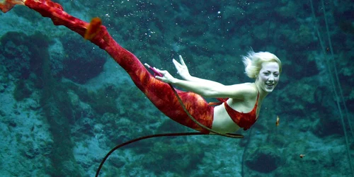 Weeki Wachee Springs