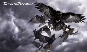 David Gilmour Live: Delicate Sound of… jpeg