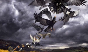 David Gilmour Live: Delicate Sound of… jpeg