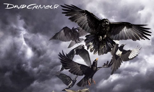 David Gilmour Live: Delicate Sound of… jpeg