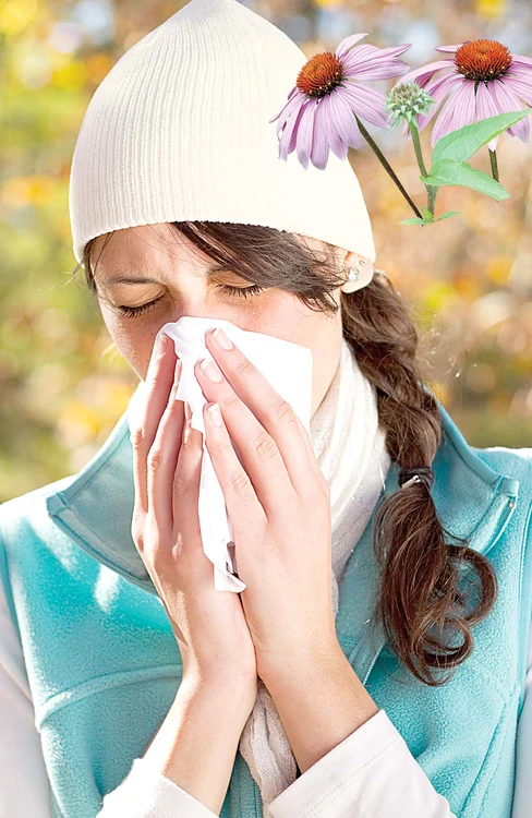 Infecţiile căilor respiratorii şi gripele sunt foarte frecvente în sezonul rece