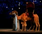 Ceremonia de deschidere a Campionatului Mondial de Fotbal Qatar 2022. FOTO Profimedia