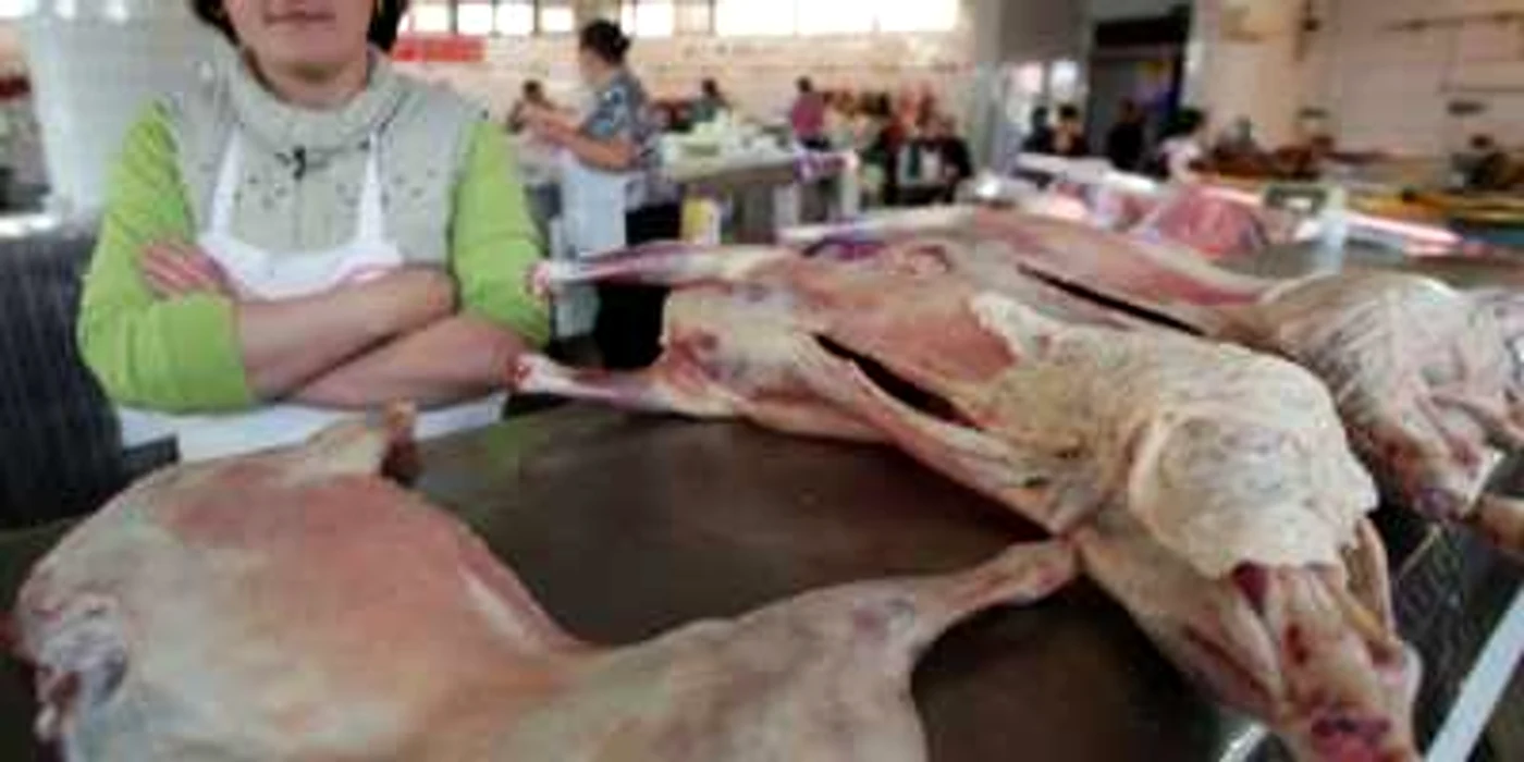Sacrificarea se face numai în centre autorizate