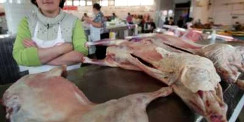 În prezent, preţul cărnii de miel este de 12 lei kilogramul de miel viu