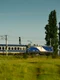 tren cfr calatori vara campie foto shutterstock