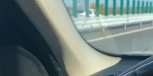 WhatsApp Video 2024 10 27 at 12 44 23 (1) mp4 thumbnail png
