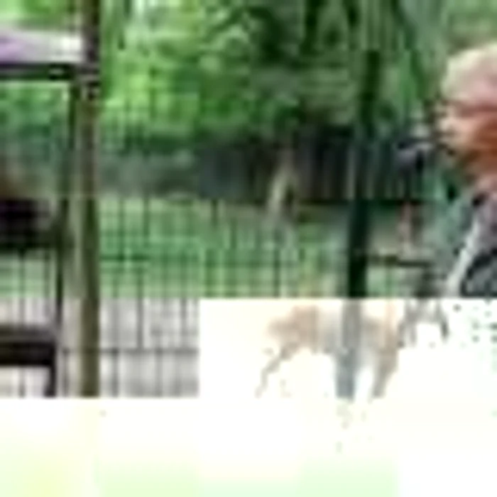 Oradea: MBS Group modernizează Grădina Zoologică