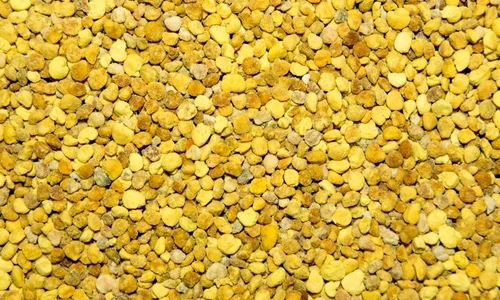 1 shutterstock 156790241 jpg jpeg